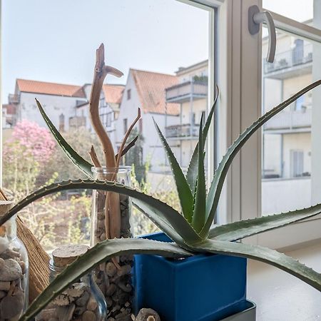 Strelapartment By Meinke Mitten In Der Altstadt Στράλσουντ Εξωτερικό φωτογραφία